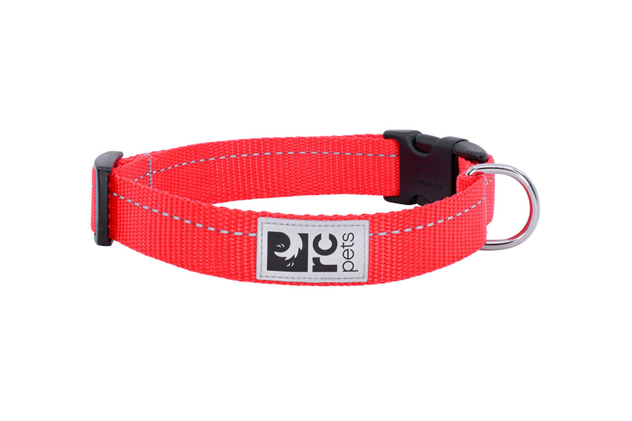 RC Pets Primary Clip Collar