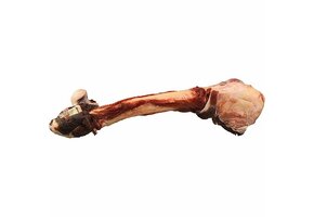 K9 Choice Kangaroo Whole Leg Bone
