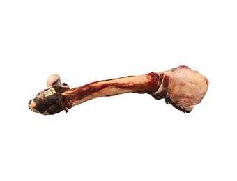 K9 Choice Kangaroo Whole Leg Bone