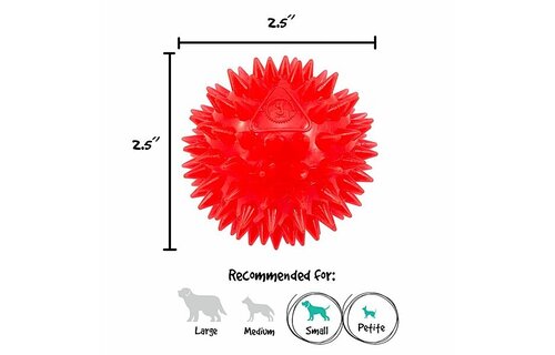 Gnawsome Squeak and Light Ball 2.5