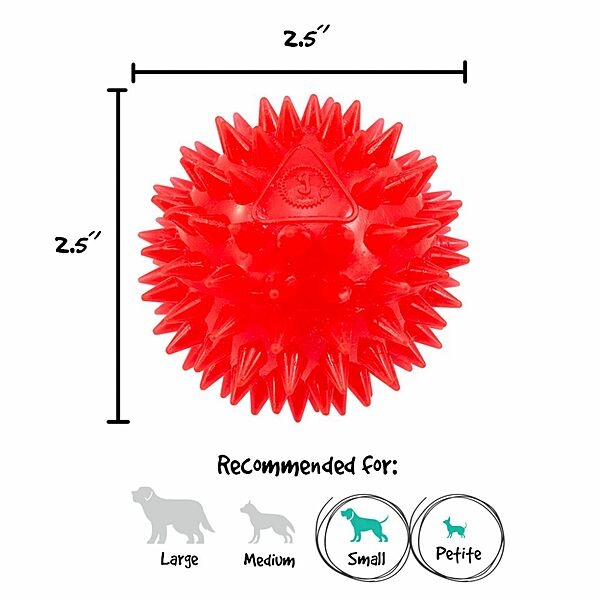 Gnawsome Squeak and Light Ball 2.5
