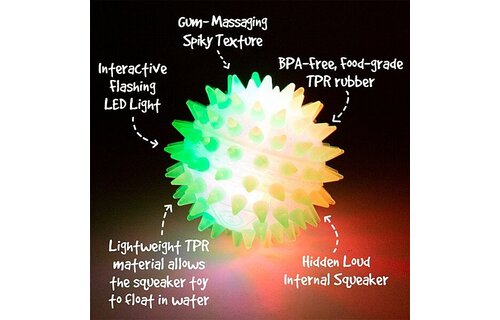 Gnawsome Squeak and Light Ball 2.5