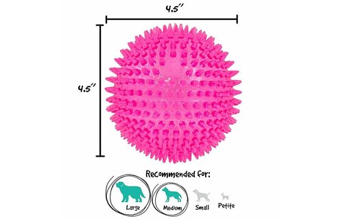 Gnawsome Squeak 4.5"