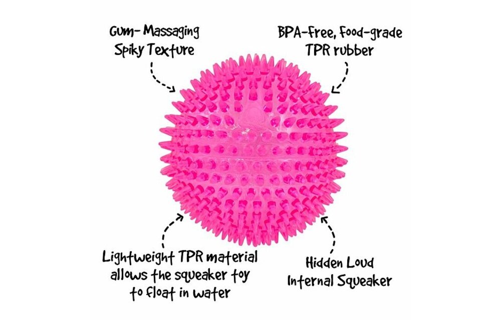 Gnawsome Squeak 4.5"