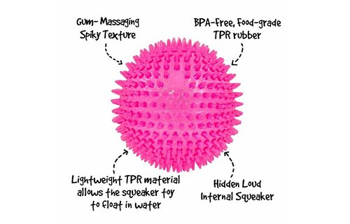 Gnawsome Squeak 4.5"