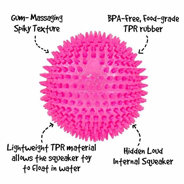 Gnawsome Squeak 4.5"