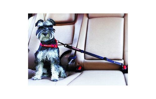 EzyDog Click Adjustable Car Restraint