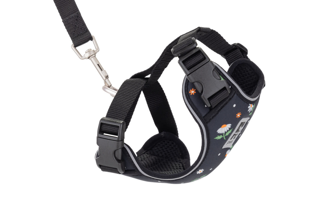RC Pets Adventure Kitty Harness