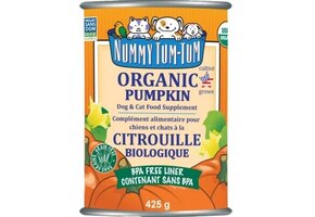 Nummy Tum-Tum Organic Pumpkin 15oz
