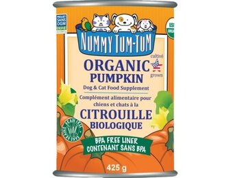 Nummy Tum-Tum Organic Pumpkin 15oz