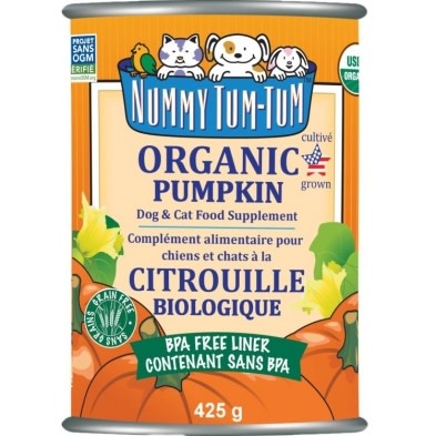 Nummy Tum-Tum Organic Pumpkin 15oz