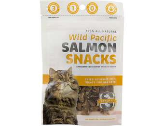 Snack 21 Cat Salmon Snacks 25g