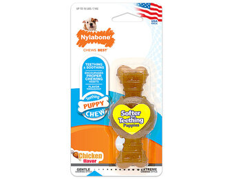 Nylabone  Chew Ring Bone Chicken  Puppy
