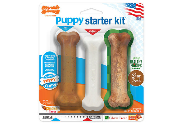 Nylabone Pup Bone Starter Kit Regular