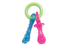 Nylabone Puppy Pacifier