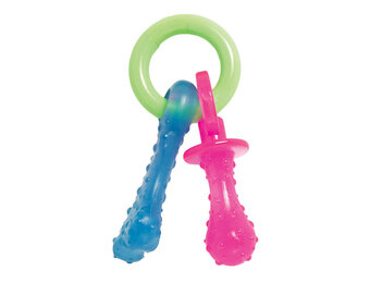 Nylabone Puppy Pacifier