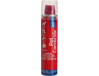 CA Pet Corrector 50ml