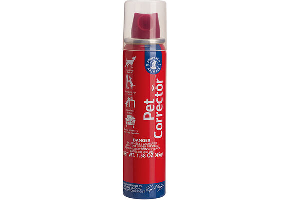 CA Pet Corrector 50ml