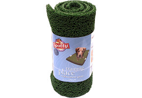 Spotty Wonder Grass Replacement 18x28