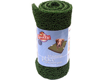 Spotty Wonder Grass Replacement 18x28