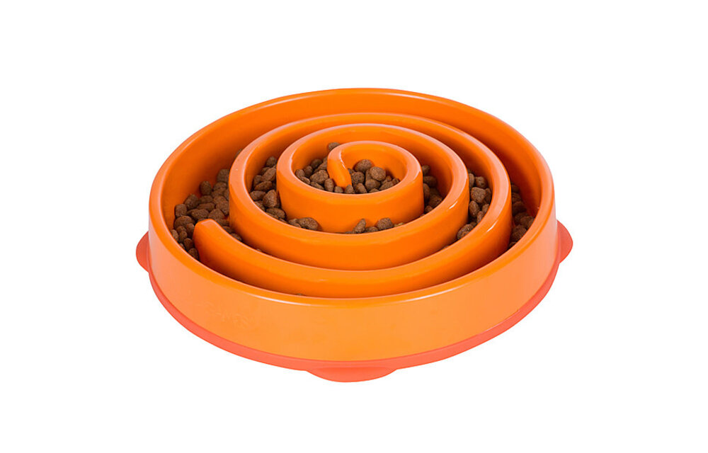 Outward Hound Fun Feeder