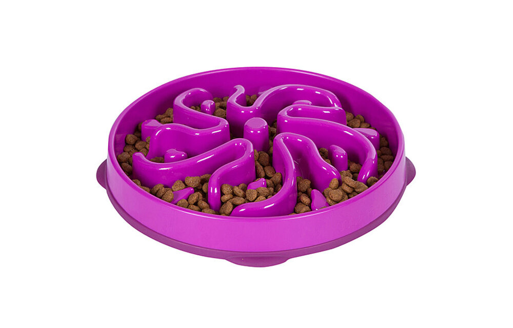 Outward Hound Fun Feeder