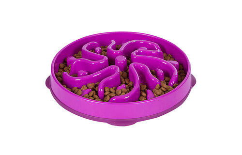 Outward Hound Fun Feeder