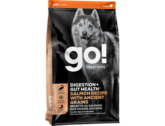 GO! Gut Health Salmon & Ancient Grains Dog 12lb