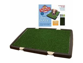 Spotty Dog Potty
