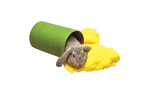 *Disc*Chewbular Play Tube Large