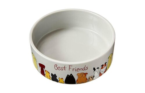 Best Friends Dish 7"