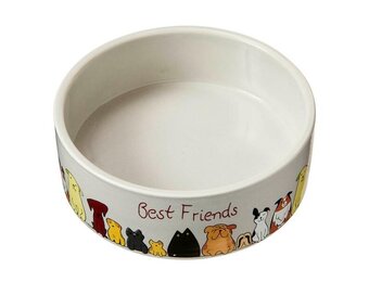 Best Friends Dish 5"