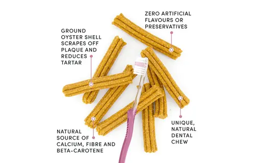 Crumps' Naturals Dog Plaque Busters Original 7" 10 pk