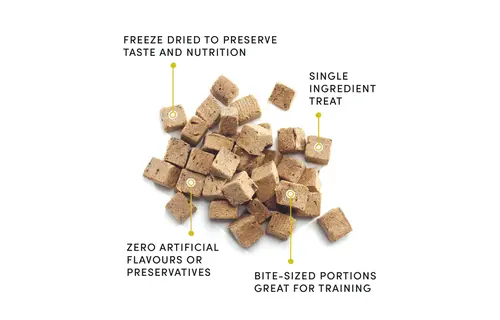 Crumps' Dog Mini Trainers FD Beef Liver 55g