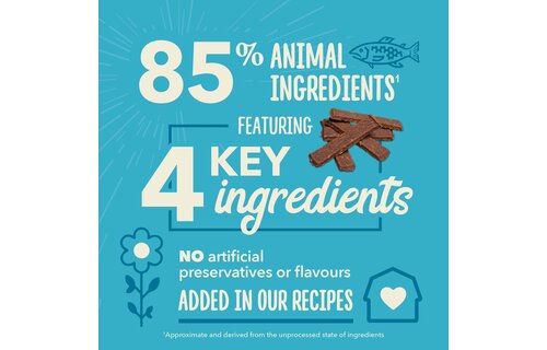 Acana Chewy Strips Salmon Recipe 113g