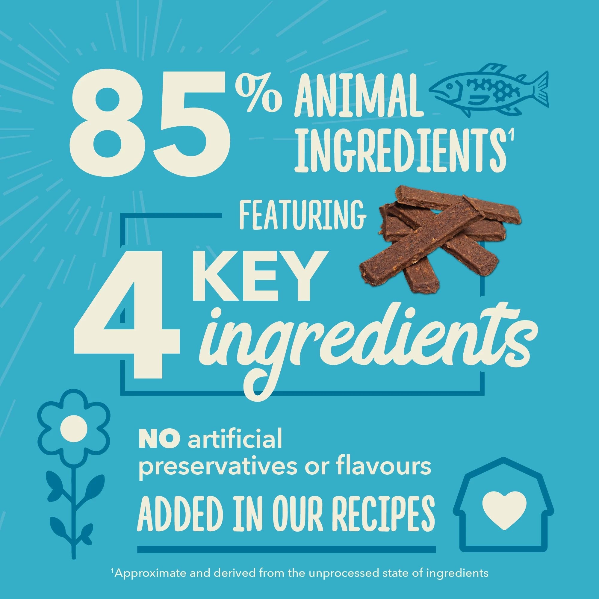 Acana Chewy Strips Salmon Recipe 113g