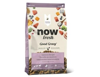 NOW Fresh Good Gravy Adult Salmon 22lb