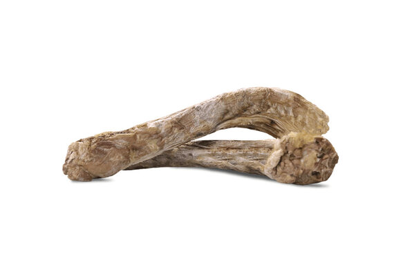 VE Raw Bar FD Duck Neck