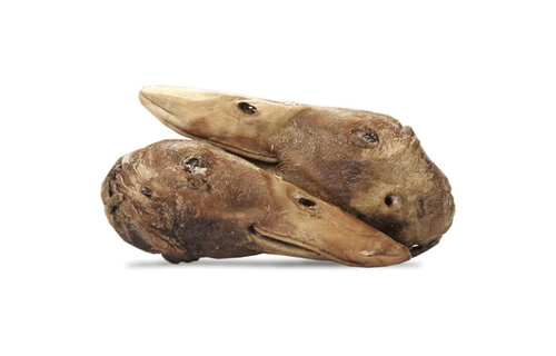 Vital Essentials Raw Bar FD Duck Heads