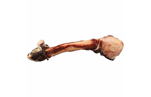 K9 Choice Kangaroo Whole Leg Bone