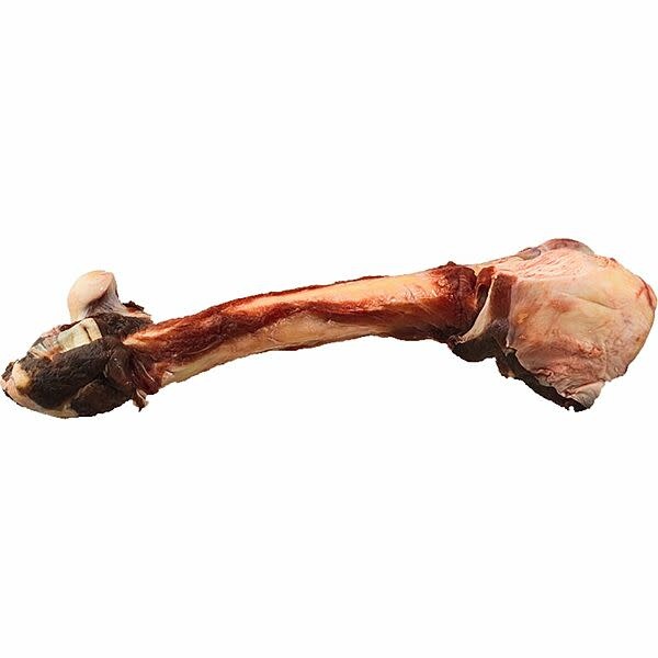 K9 Choice Kangaroo Whole Leg Bone