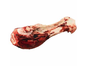 K9 Choice Frozen Beef  Dino Dog Bone