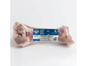 Pets Go Raw Lamb Dino Bone
