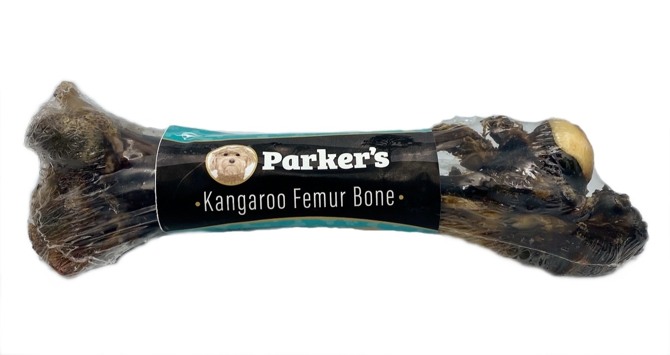 Parker's Kangaroo Femur Bone