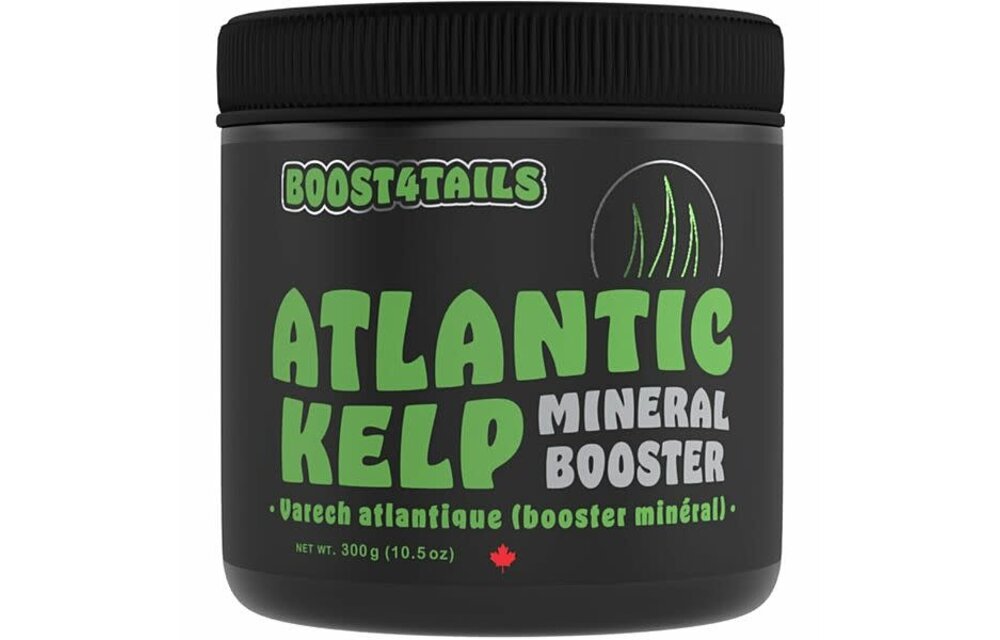 Boost4Tails Atlantic Kelp Mineral Booster Dog&Cat 300 gm