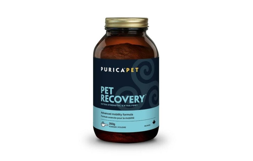 *New*Recovery SA ExStrength Powder 350g