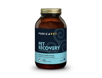 Recovery SA ExStrength  Powder 350g