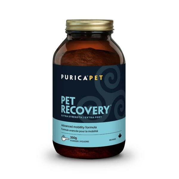 Recovery SA ExStrength  Powder 350g