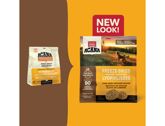 Acana Patties Free-Run Chicken Recipe Dog 397 g