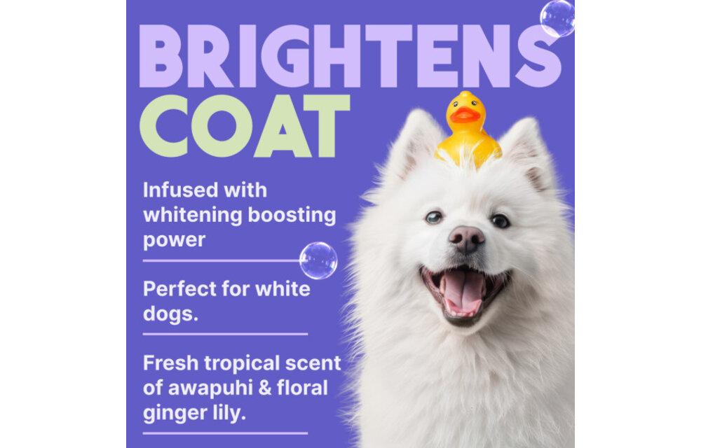 TropiClean Awapuhi & Coconut Shampoo 20 oz